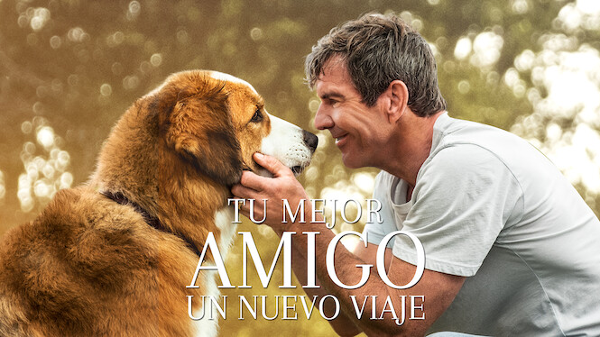 Tu mejor amigo: un nuevo viaje